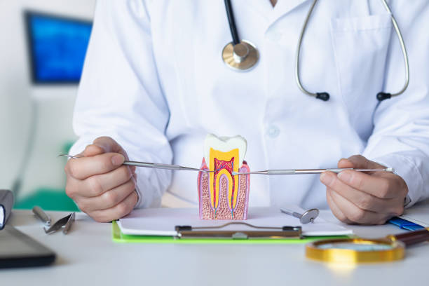 Best Knocked-Out Tooth Emergency  in South Coatesville, PA